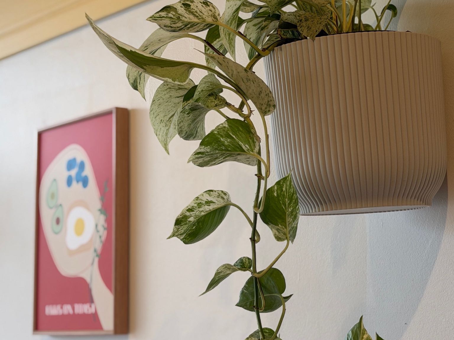 Sonnys cafe interior